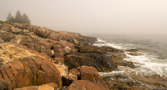 Lanes Island on Vinalhaven, Maine on a foggy day