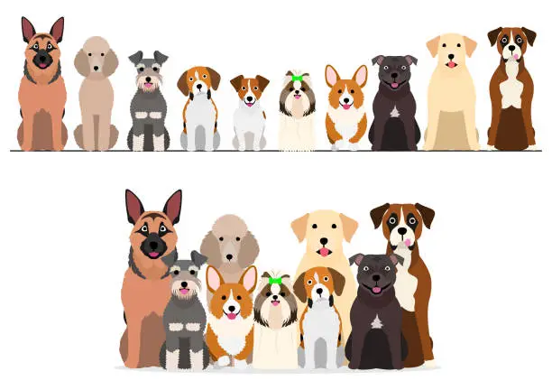 Vector illustration of set of border and group of various breeds of dogs