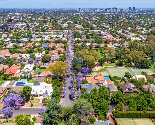 Cityscape: Aerial view of leafy Eastern suburbs of Adelaide with purple jacaranda & park Leafy Eastern suburbs of Adelaide seen from above (drone view) with purple flowering jacaranda along east-west street and city centre in the distance:in the centre right of frame is the beautiful Tusmore Park and community tennis courts. tree lined driveway stock pictures, royalty-free photos & images