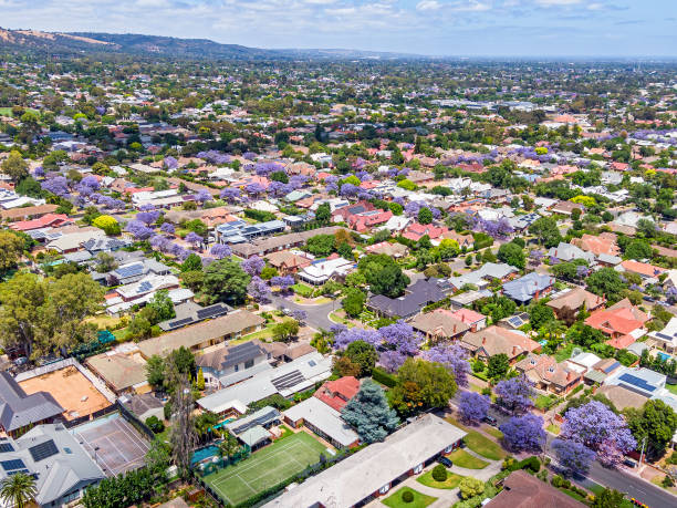 Aerial view of leafy Eastern suburbs of Adelaide with purple jacaranda Leafy Eastern suburbs of Adelaide seen from above (drone view) looking south-west to foothills with purple flowering jacaranda: in the distant right of frame is the Burnside Shopping Village and nearby is the Burnside Town Hall. adelaide stock pictures, royalty-free photos & images