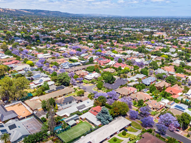 Aerial view of leafy Eastern suburbs of Adelaide with purple jacaranda Leafy Eastern suburbs of Adelaide seen from above (drone view) looking south-west to foothills with purple flowering jacaranda: in the distant right of frame is the Burnside Shopping Village and nearby is the Burnside Town Hall. solar panels on the roof of building in a city stock pictures, royalty-free photos & images