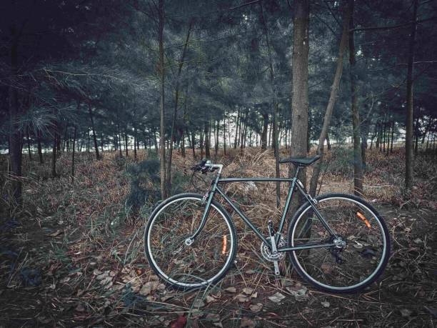 istock Classic road bike 1289815851