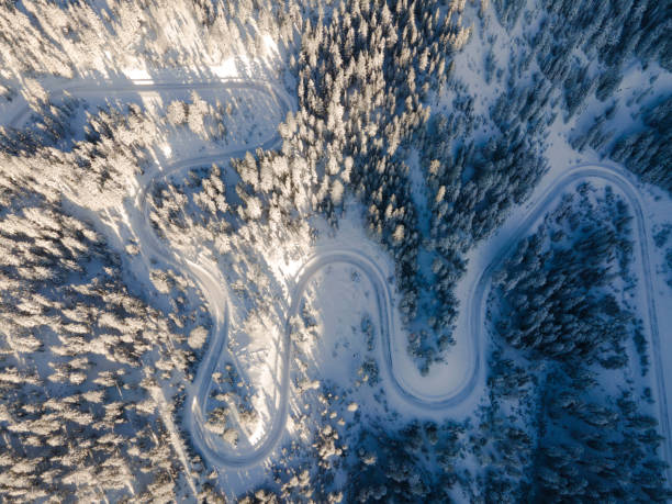 istock Snow-covered Road in the forest 1289817725