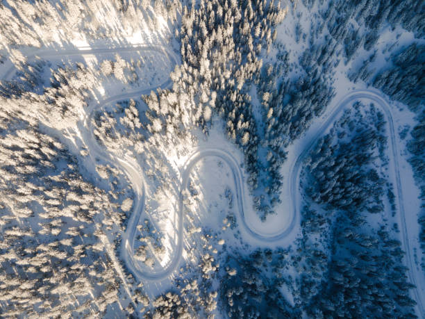 istock Snow-covered Road in the forest 1289817751