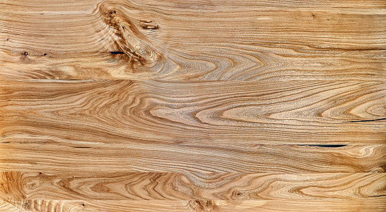 Wood surface close-up, processed wooden board with twig, tree structure background