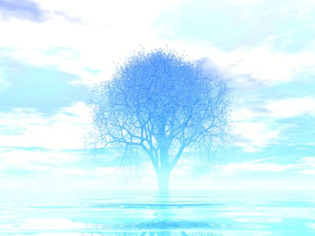 istock Fantastic landscape of Sea and Tree 1289833744