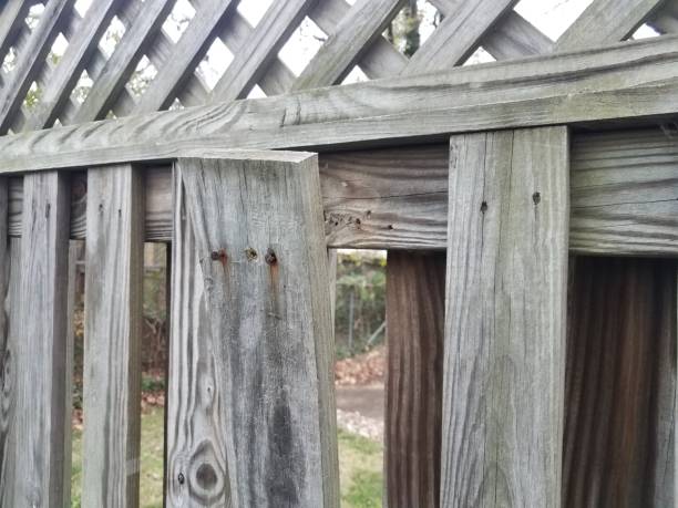 istock damaged wood fence with nail and bent board 1289836619