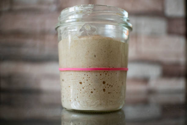 homemade sourdough starter