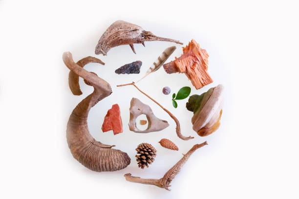 creative decorative crafts with natural materials found in forests and mountains