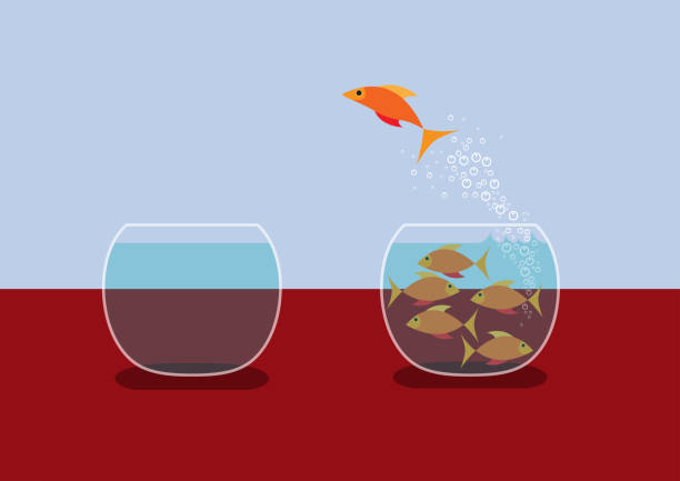 ilustraciones, imágenes clip art, dibujos animados e iconos de stock de pez dorado saltando del agua. concepto de escape del grupo. diseño plano vectorial - fishbowl crowded goldfish claustrophobic