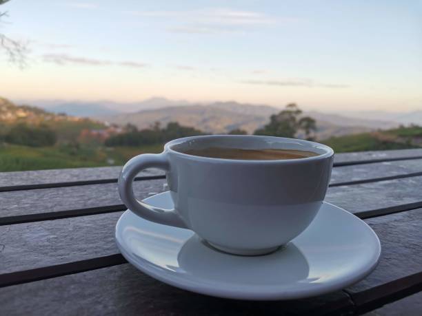 istock Cup of coffee and blurred nature background. 1289855499