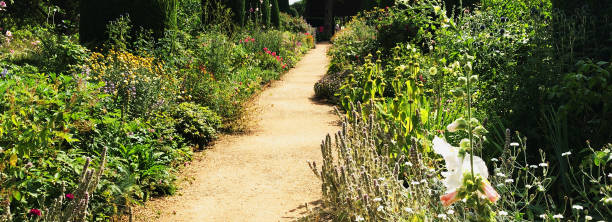 istock walled cottage garden with plants and flowers 1289862871
