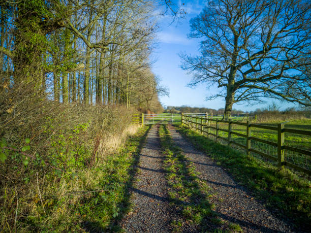 istock Generic path footpath rolling landscape walking hiking rambling trekking fitness exercise English Midlands UK sunlight lush green agricultural land farmland 1289863002