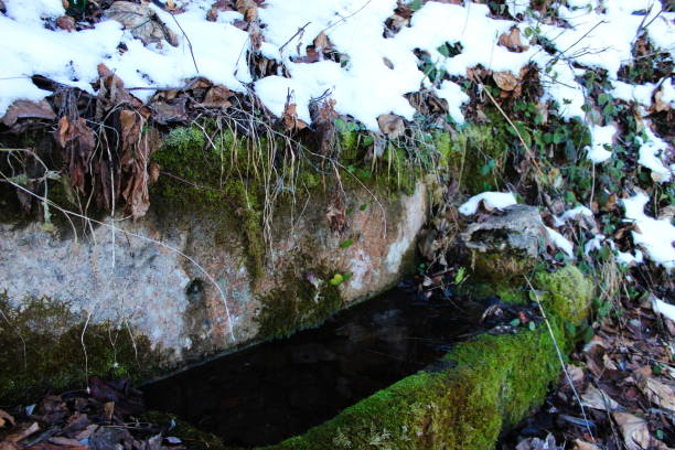 istock Abandoned watering can for cattle. A stone trough where there is water that is overgrown with moss. It is winter and there is snow all around. Zavidovici, Bosnia and Herzegovina. 1289865569