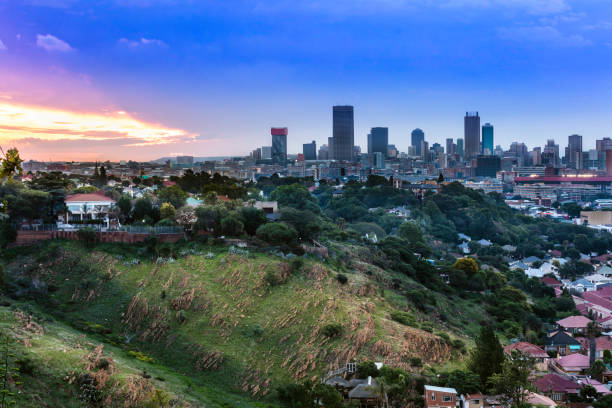istock Johannesburg cityscape panorama 1289866051