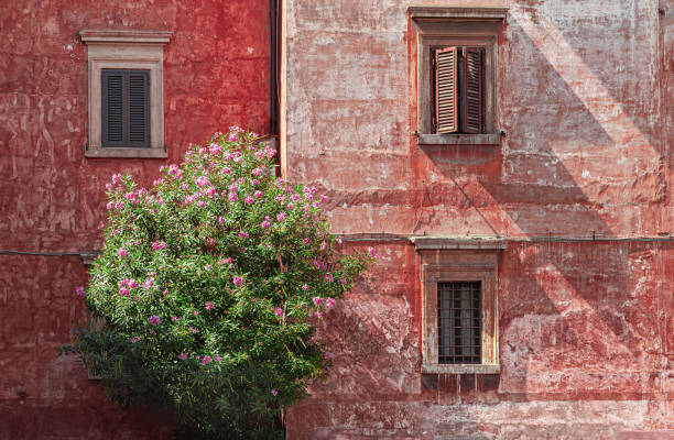 A street shot taken in Rome, where the particular colors of this urban wall suggest me a sort of \