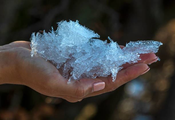 istock A hand full of ice on a blurred background 1289867640