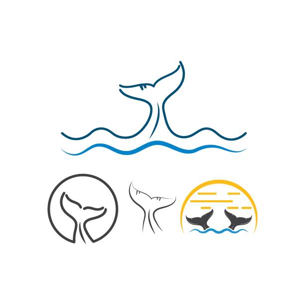 whale tail icon vector illustration design whale tail icon vector illustration design template blue whale tail stock illustrations