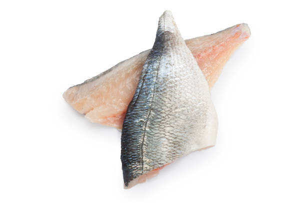 ซี บรีม บนไวท์ - วงศ์ปลาจาน ปลาเขตร้อน ภาพสต็อก ภาพถ่ายและรูปภาพปลอดค่าลิขสิทธิ์
