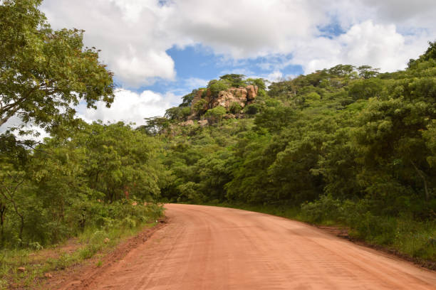 istock Dirt road in a national park in Zimbabwe 1289870371