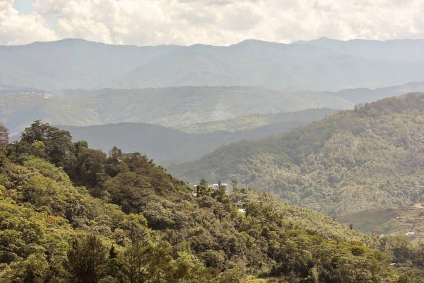 istock Green hilly landscape in Nagaland 1289872302