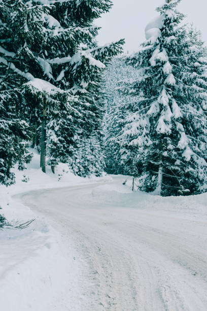 istock Slippery and icy road in a winter landscape 1289872969