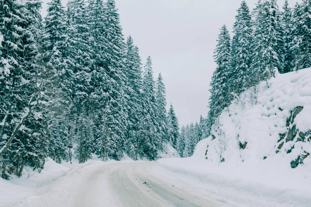istock Slippery and icy road in a winter landscape 1289872980