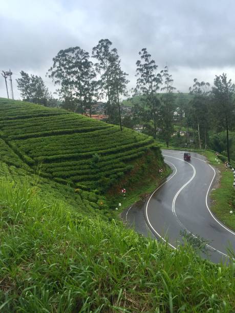 istock Hatton, Sri Lanka beautiful country side 1289874706