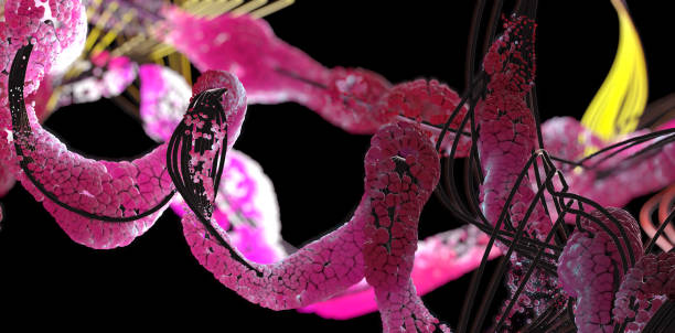 istock Chain of amino acid or bio molecules called protein - 3d illustration 1289877096