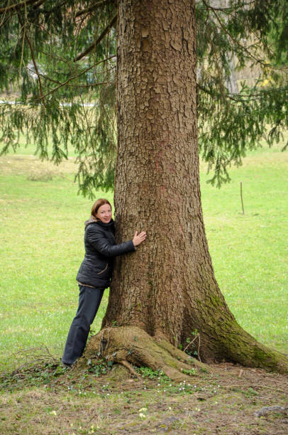 istock Cheerful beautiful woman embracing a tree in the forest 1289879996