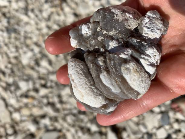 istock Female caucasian hands holding stone 1289880099