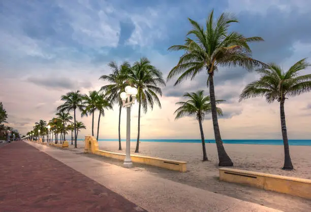 Hollywood beach, Florida. Coconut palm trees on the beach and illuminated street lights on the broadwalk at dusk. Cloud sky. Sunset or sundown in the background.