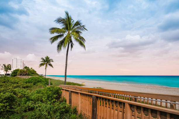 istock Beach with palm trees in Florida, USA. 1289882315