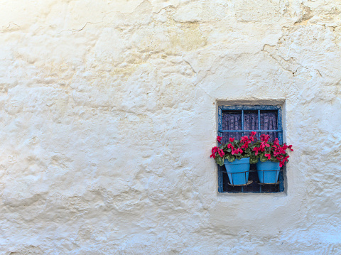 Small blue window with flowerpots and red flowers on a white wall in a old town