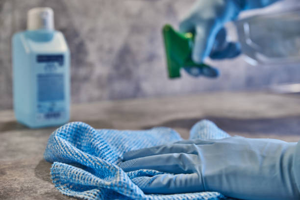 istock Person cleaning a surface with disinfectant. Sanitizing a surface with disinfectant. Covid-19 precaution. 1289885007