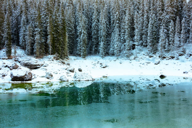 landscape with carezza lake and fir trees landscape with carezza lake and fir trees in Dolomites, Italy in winter. catinaccio stock pictures, royalty-free photos & images