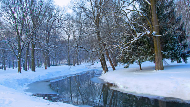 Scenic winter forest landscape featuring a park bench on the snowy bank of a tranquil pond, illuminated by warm, late afternoon sunlight.