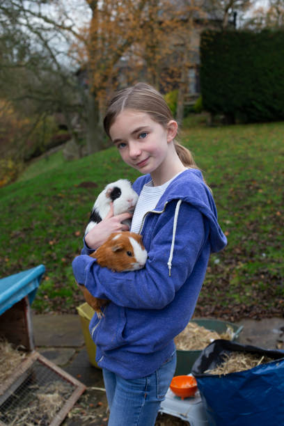 istock Holding Her Guinea Pigs 1289897588