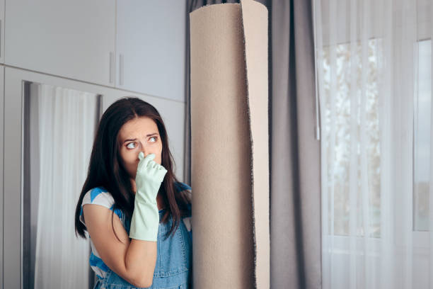 Woman Next to a Stinky Carpet Covering Her Nose Girl having problems taking the smell out of an old rug unpleasant smell stock pictures, royalty-free photos & images