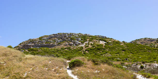 ケープタウン南アフリカの沿岸砂丘の景観とエコロジー - cape town south africa sand dune beach ストックフォトと画像