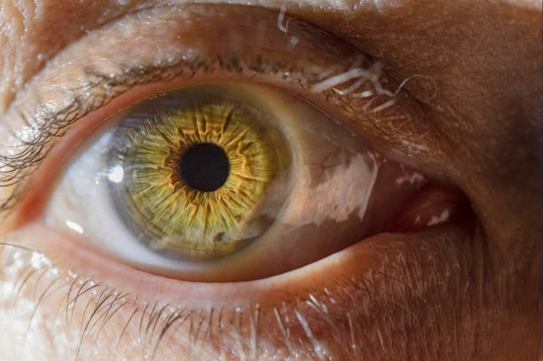 istock Macro close-up of a human eye 1289909230