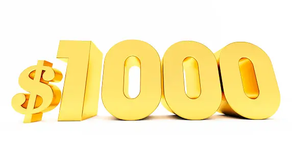 1000 Pictures Download Free Images on Unsplash 1000 Pictures Download Free Images on Unsplash