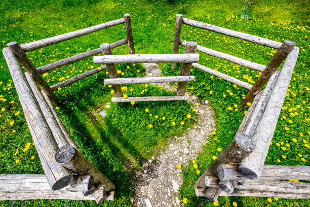close up of an old fence - photo