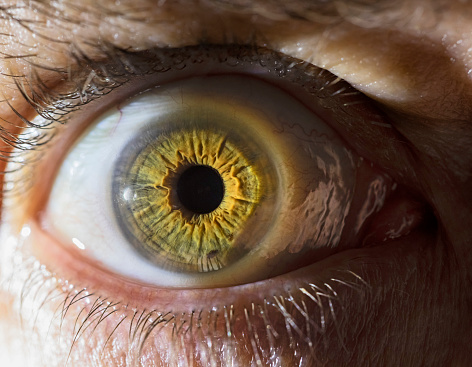 Macro close-up of a human eye