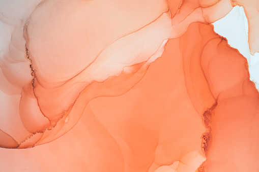 Peach Color Pictures | Download Free Images on Unsplash