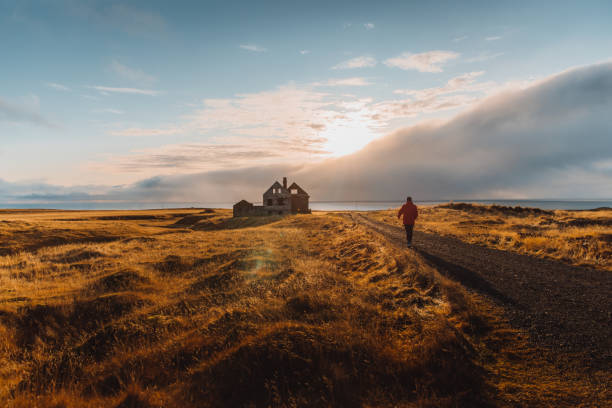 Silhouette of man tourist meeting the bright sunset at the seashore near abandoned house in Iceland Man traveler walking at the beautiful golden meadow near the ocean to the old house during sunny autumn sunset on Snaefellsnes Peninsula - West Iceland volcanic landscape photos stock pictures, royalty-free photos & images