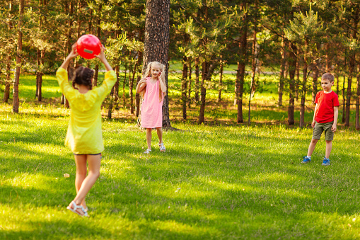 Two little girls and boy playing red ball on green lawn in park on summer day