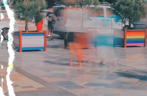 Photo of LGBTQA+ Flags on Tree Boxes