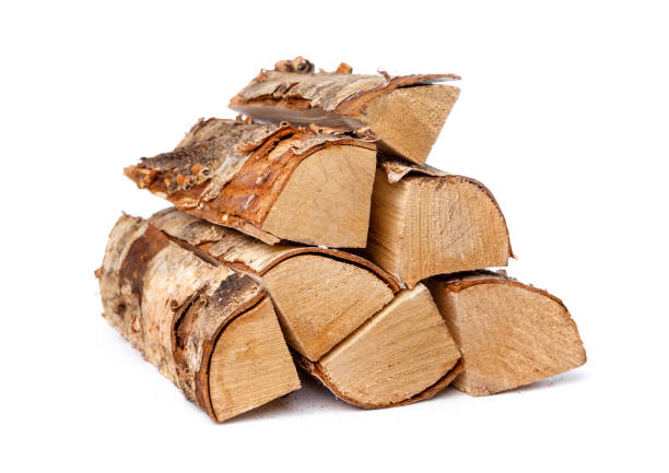 istock heap of birch firewood logs isolated on white background 1289915769