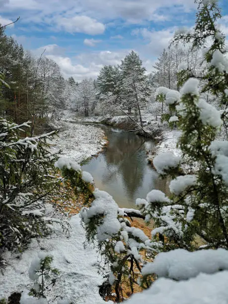 Beautiful winter landscape - river view through juniper branches. Minsk region, Belarus. High quality photo by phone.